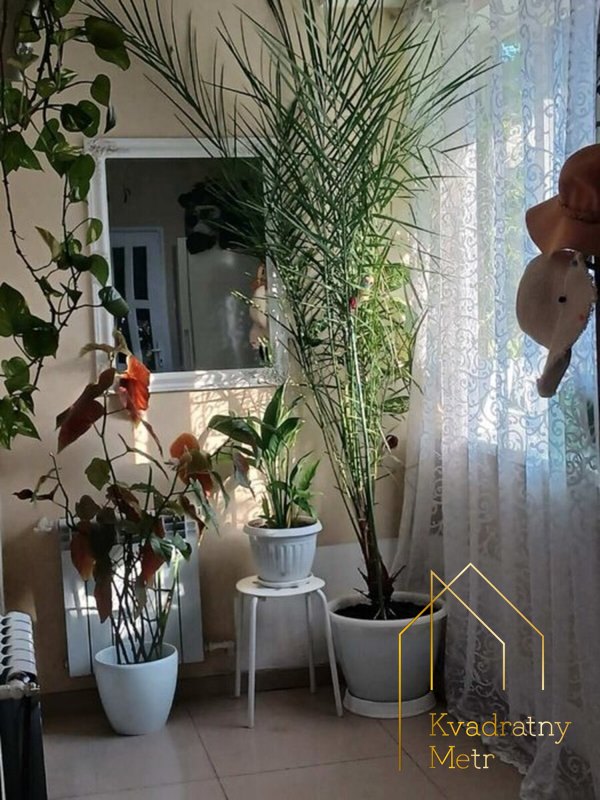 Лучшее предложение! 3-комн.квартира за 57000 $ — фото 3